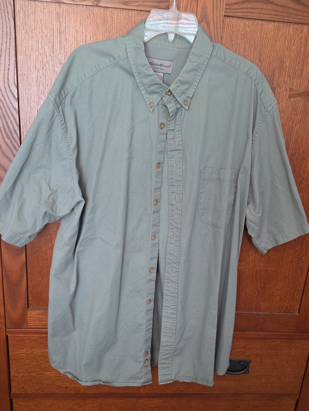 Men's Light Green Short-Sleeve Button-Down Shirt